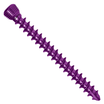 Pink Cancellous Screw With Locking Head