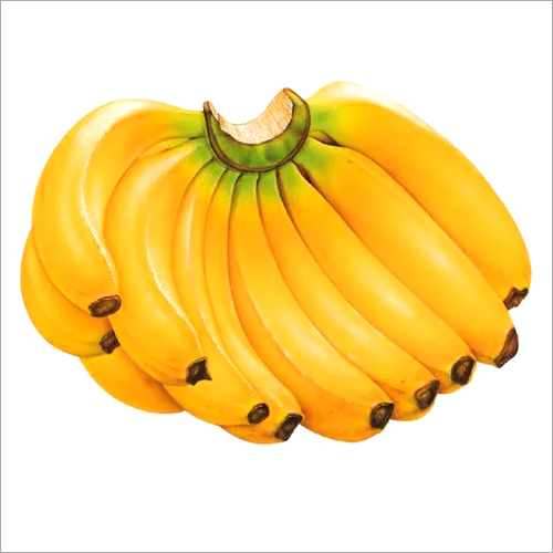 Inspected Cavendish Banana