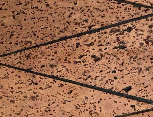 Cork Panels