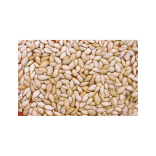 Vegetables Seeds And Pulses Vegetables Seeds And Pulses