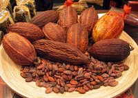 Chocolates Processing Plant