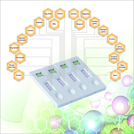 Allergen Specific IgE Antibody
