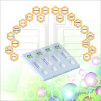 Allergen Specific IgE Antibody