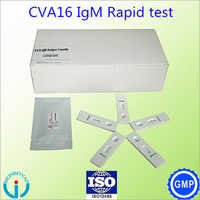 Coxsackie Virus A16 (CVA16)-IgM antibody Cassette