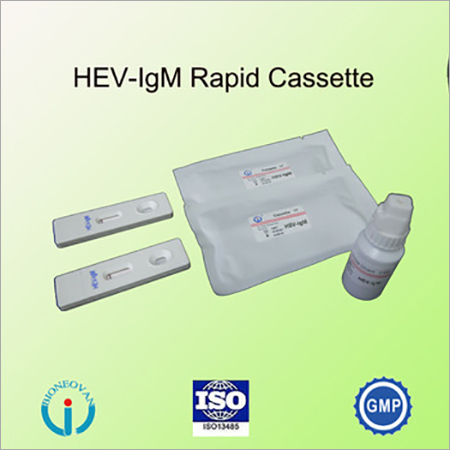 HEV IGM cassette