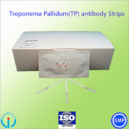 Treponema Pallidum(TP) antibody Strip