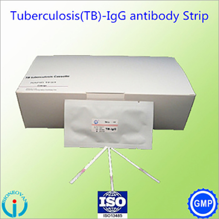 Tuberculosis(TB)-IgG antibody Strip
