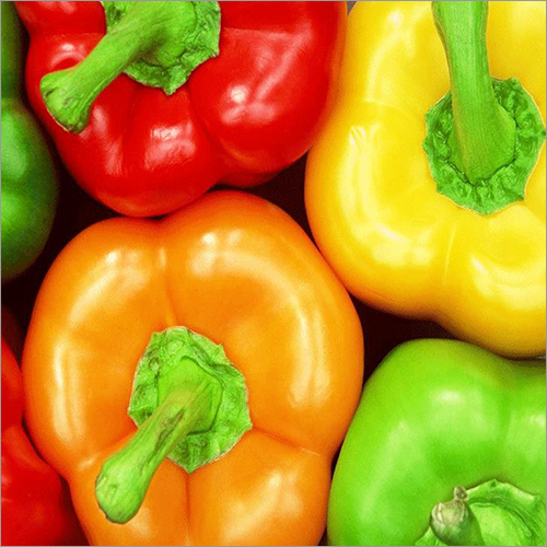Fresh Capsicum