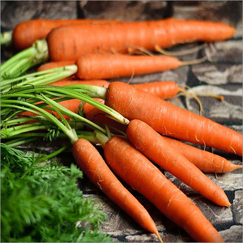 Fresh Carrot