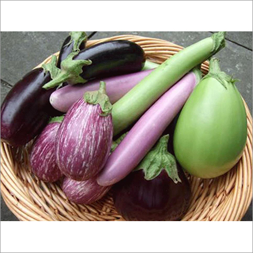 Fresh Eggplant