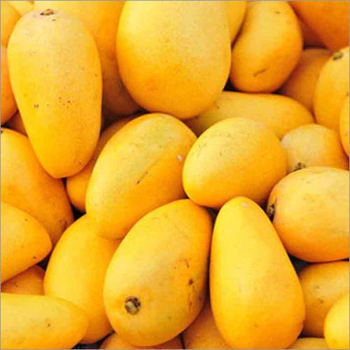 Fresh Mango