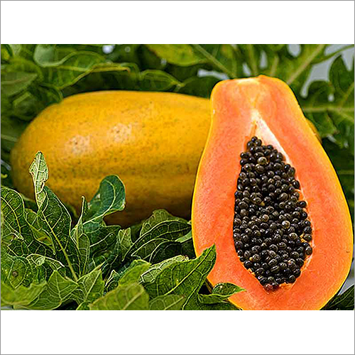 Fresh Papaya