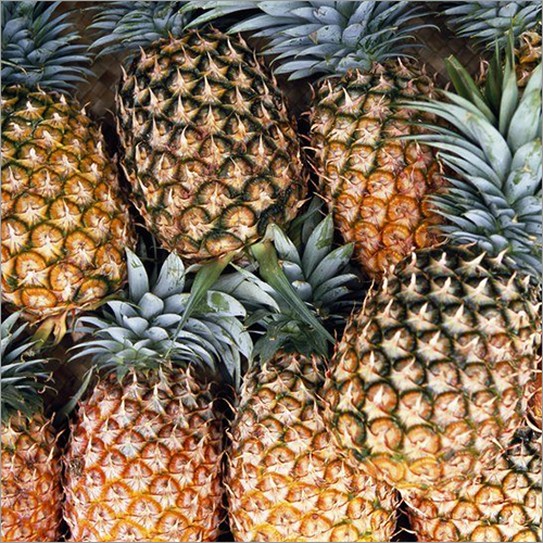 Fresh Pineapple