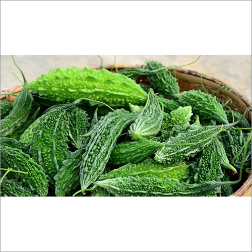 Bitter Gourd