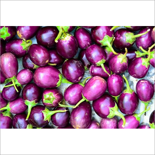 Organic Brinjal