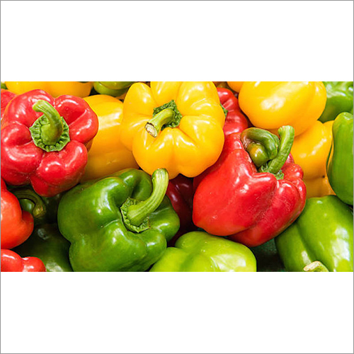 Organic Capsicum