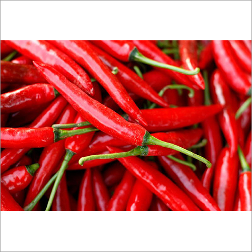 Red Chilli