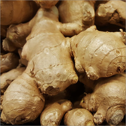 Fresh Ginger