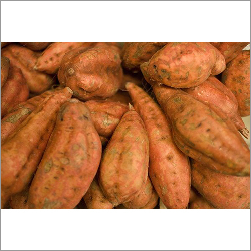 Sweet Potato
