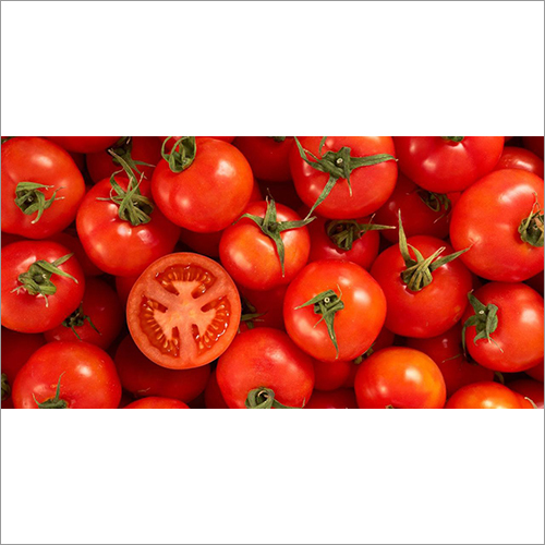 Fresh Tomato