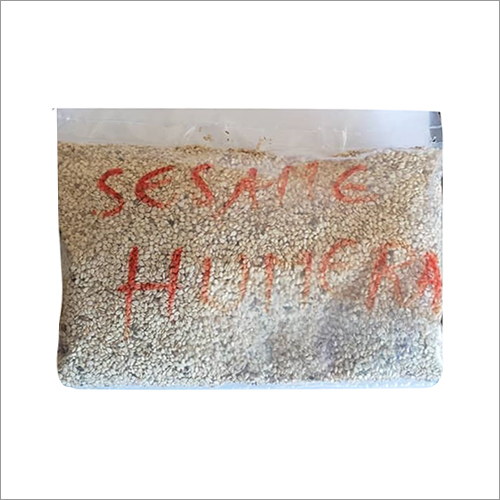 Humera Sesame Seeds