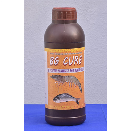 BG Cure Sanitizer for Black Gill