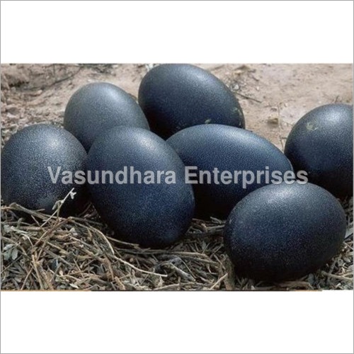 Black Poultry Egg Egg Weight: 50 Grams (G)