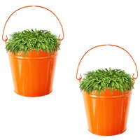 Pail Bucket Galvanized Metal Hanging Planter - Galvanized Metal, 9" X 6" X 4", Powder Coated Finish | Rust Resistant, Ideal For Dried And Silk Flowers