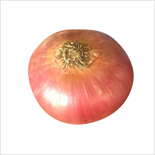 Farm Fresh Onion