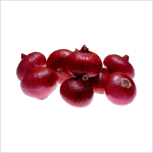 Fresh Red Onion