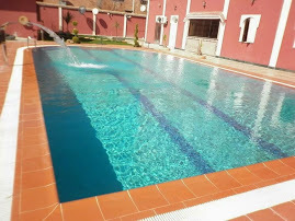 Competition Swimming Pool Construction Services Competition Swimming Pool Construction Services
