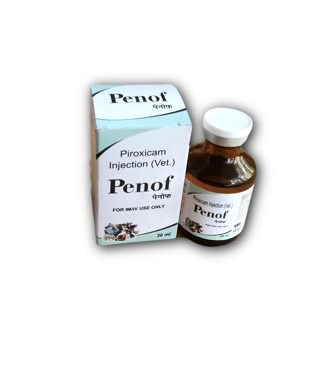 Penof Piroxicam Injection