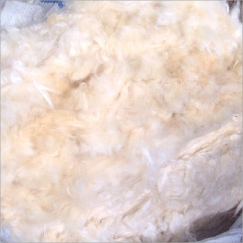 Natural White Yellowish Kapok Fiber