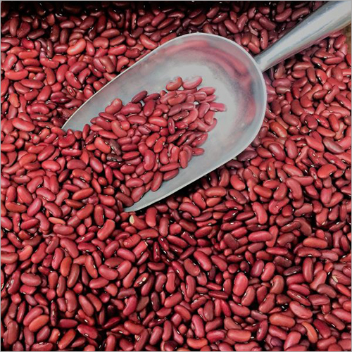 Organic Red Rajma