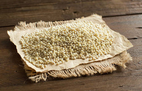 Milky White Sorghum