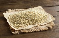 Milky White Sorghum - Premium Dried Seeds, 99% Purity, Small Granule Size, Sweet Taste, Drought Tolerant, Ideal For Animal Feed