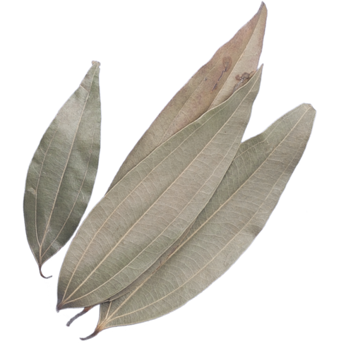 Indian Dry Bay Leaves