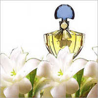 Perfume Oil
