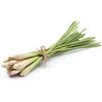 Lemon Grass  Essential Oil