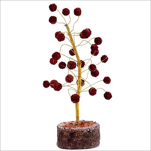 Satyamani Energized Rudraksha Tree
