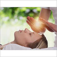 Reiki Consultant Services