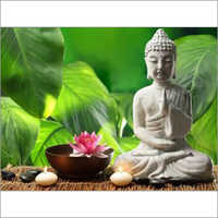 Meditation Courses Services