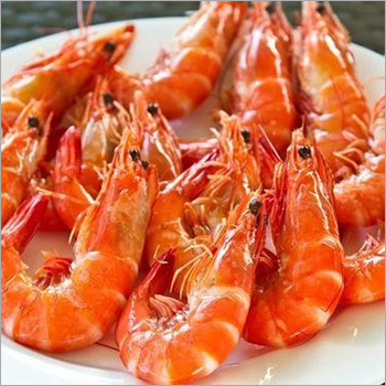 Fresh Prawns
