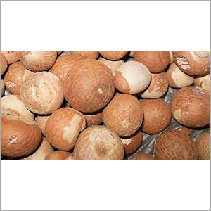Brown Whole Areca Nuts