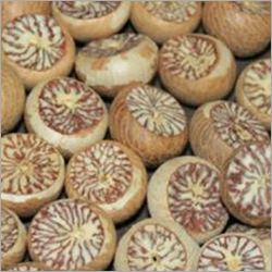 White Betel Nuts - Brown Dried Betel Nuts | Quality Checked for Premium Health Benefits and Spiritual Use