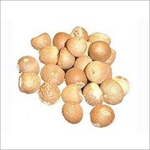 Brown Mangalore Betel Nut