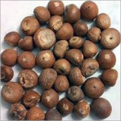 Brown Fali Betel Nuts