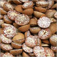 Brown Betal Nuts