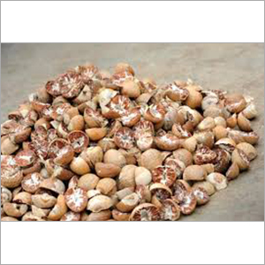 Brown Whole Dried Areca Nut