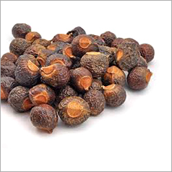 Shikakai Nuts Ingredients: Herbs